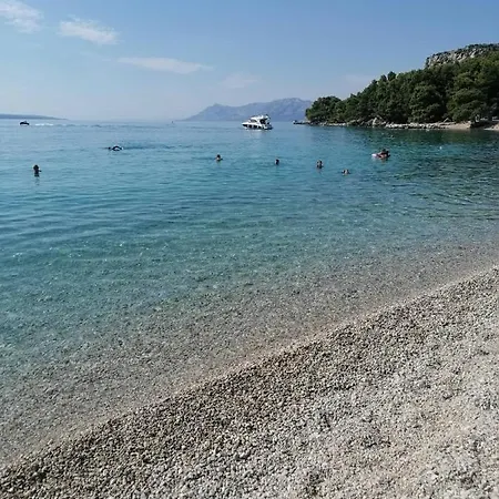 Petar Apartman *